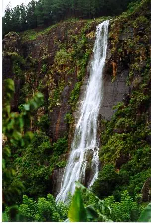 Bambarakanda Tour