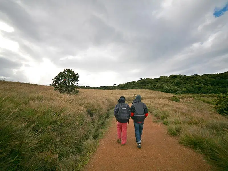 Devil's Staircase + World's End Safari Tour